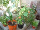 DSC03806
