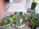 DSC03808