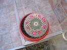 DSC03809