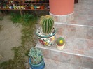 DSC03816