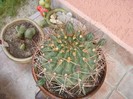 DSC03820