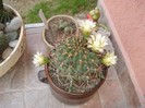 DSC03853