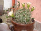 DSC03855