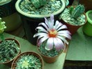 DSC04876