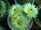 DSC04880