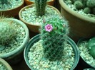 DSC04885