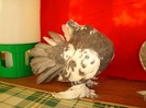 DSC01949