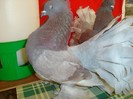DSC01956