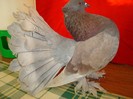 DSC01959