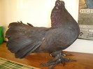 DSC01963