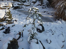DSCF9337