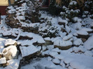 DSCF9341