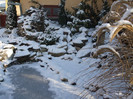 DSCF9342