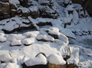 DSCF9343