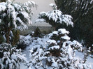 DSCF9347