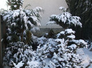 DSCF9348