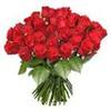 images (22)