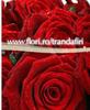 images (41)