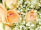images (58)