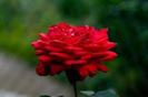 images (60)