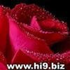 images (92)
