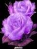 images (98)