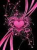 images (18)