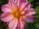 images (34)
