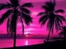 images (53)