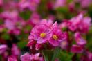 images (56)