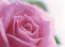 images (58)