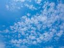 images (16)