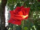 images (7)