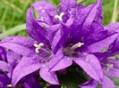 DSCF2907-3-3