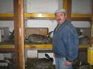 12 iepuroaice -pentru anul 2012