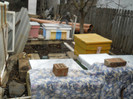 iernare 28.12.2011