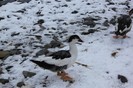 IMG_0059