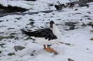 IMG_0060