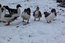 IMG_0061