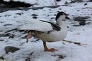 IMG_0067
