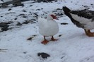 IMG_0071