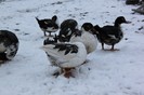 IMG_0073