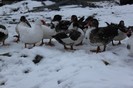 IMG_0082