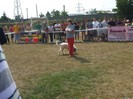 DSCF8675