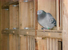 DSCN0136
