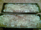 Imag006