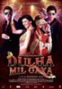 Dulha_Mil_Gaya_1267889790_2010