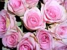 images (4)