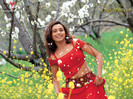 rani