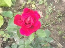 DSCN0566
